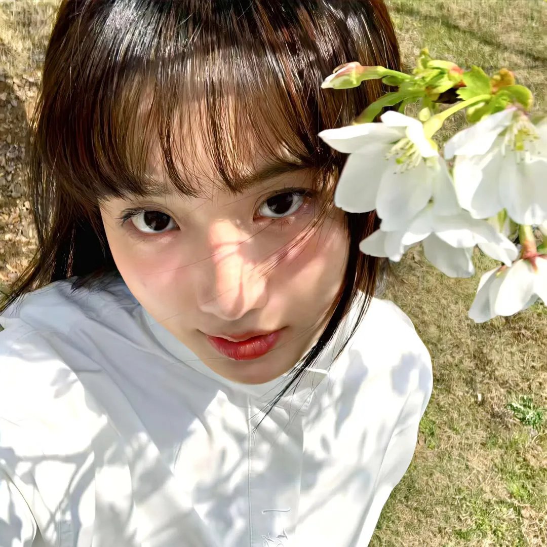 鸟与蜜蜂